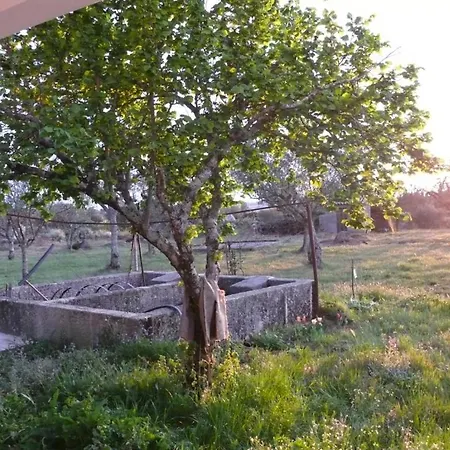 Quinta Da Capela Gouveia (Guarda)