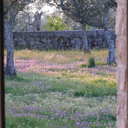 Villa Quinta Da Capela Gouveia (Guarda)