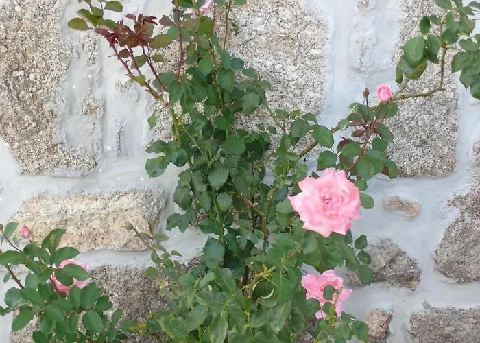 Quinta Da Capela *