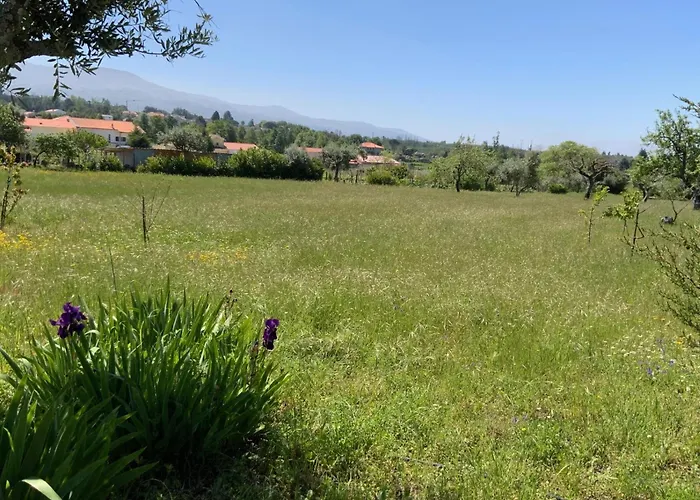 Quinta Da Capela Villa Gouveia (Guarda)