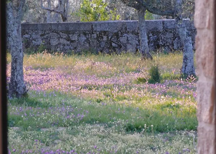 Villa Quinta Da Capela Gouveia (Guarda)